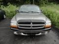1999 Light Driftwood Satin Glow Dodge Durango SLT 4x4  photo #2