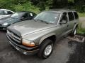1999 Light Driftwood Satin Glow Dodge Durango SLT 4x4  photo #3
