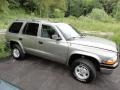1999 Light Driftwood Satin Glow Dodge Durango SLT 4x4  photo #4