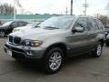 2006 Stratus Grey Metallic BMW X5 3.0i  photo #4