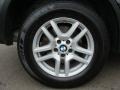 2006 Stratus Grey Metallic BMW X5 3.0i  photo #24