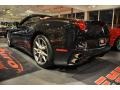 Nero (Black) - California  Photo No. 7