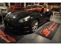 Nero (Black) - California  Photo No. 28
