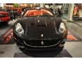 Nero (Black) - California  Photo No. 33