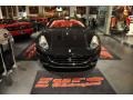 Nero (Black) - California  Photo No. 34