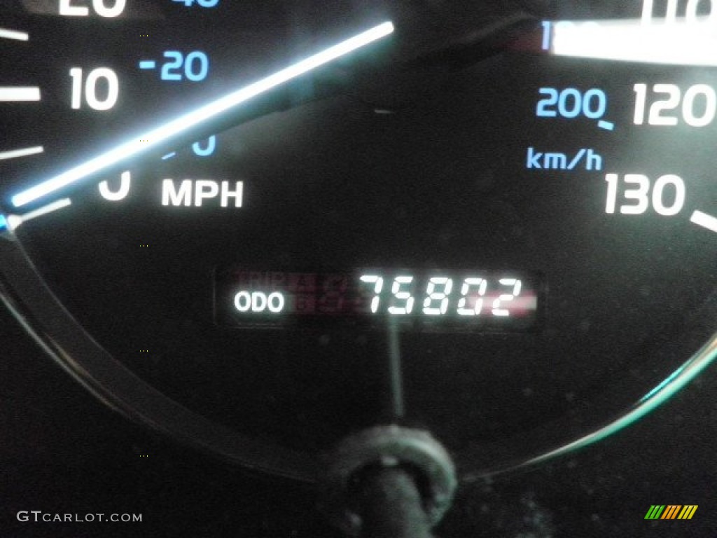 2006 LX 470 - Galactic Gray Mica / Ivory photo #11