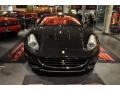 Nero (Black) - California  Photo No. 35