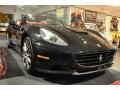 Nero (Black) - California  Photo No. 41