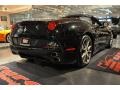 Nero (Black) - California  Photo No. 44