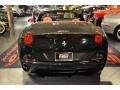 Nero (Black) - California  Photo No. 46