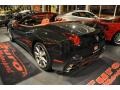 Nero (Black) - California  Photo No. 48