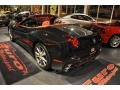Nero (Black) - California  Photo No. 50