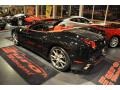 Nero (Black) - California  Photo No. 53