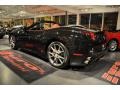 Nero (Black) - California  Photo No. 54