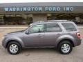 2010 Sterling Grey Metallic Ford Escape Limited V6 4WD  photo #1