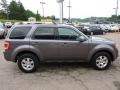 2010 Sterling Grey Metallic Ford Escape Limited V6 4WD  photo #5