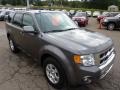 2010 Sterling Grey Metallic Ford Escape Limited V6 4WD  photo #6