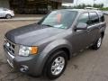 2010 Sterling Grey Metallic Ford Escape Limited V6 4WD  photo #8