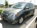 Nimbus Gray Metallic - Odyssey EX-L Photo No. 40