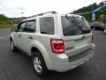 Light Sage Metallic - Escape XLT 4WD Photo No. 4