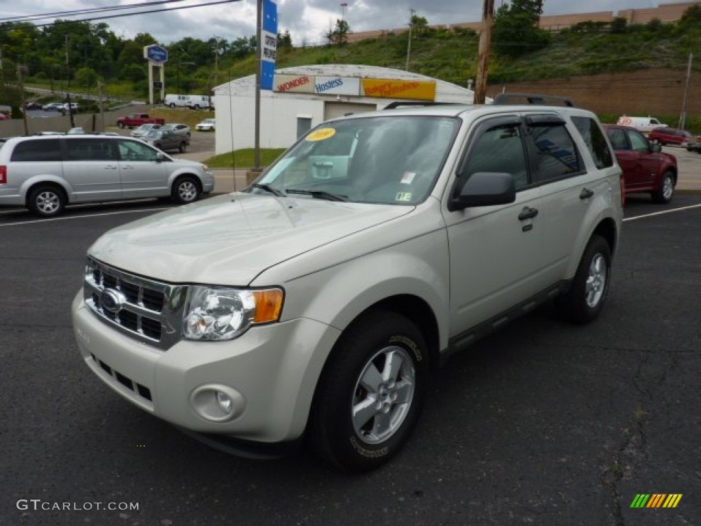 2009 Escape XLT 4WD - Light Sage Metallic / Charcoal photo #5