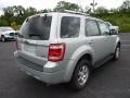 2009 Brilliant Silver Metallic Ford Escape Limited 4WD  photo #2