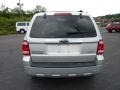 2009 Brilliant Silver Metallic Ford Escape Limited 4WD  photo #3