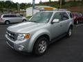 2009 Brilliant Silver Metallic Ford Escape Limited 4WD  photo #5