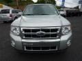 2009 Brilliant Silver Metallic Ford Escape Limited 4WD  photo #6