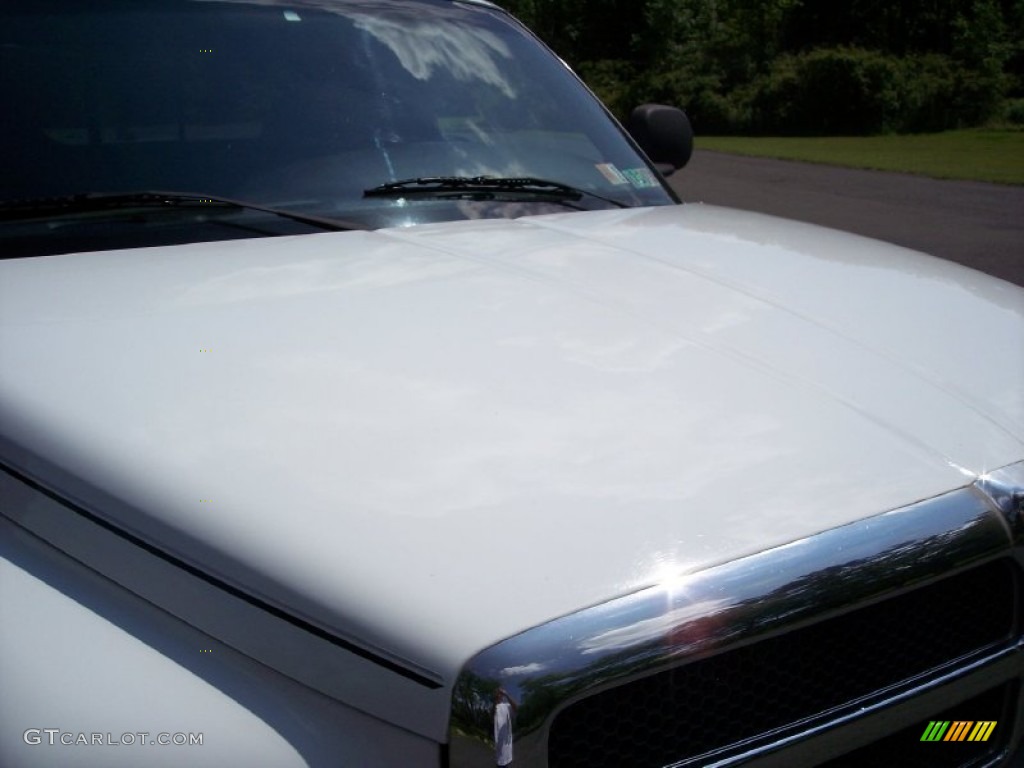 2000 Ram 1500 SLT Extended Cab 4x4 - Bright White / Agate photo #19