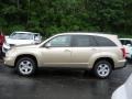 Aspen Gold Metallic - XL7 Luxury AWD Photo No. 15