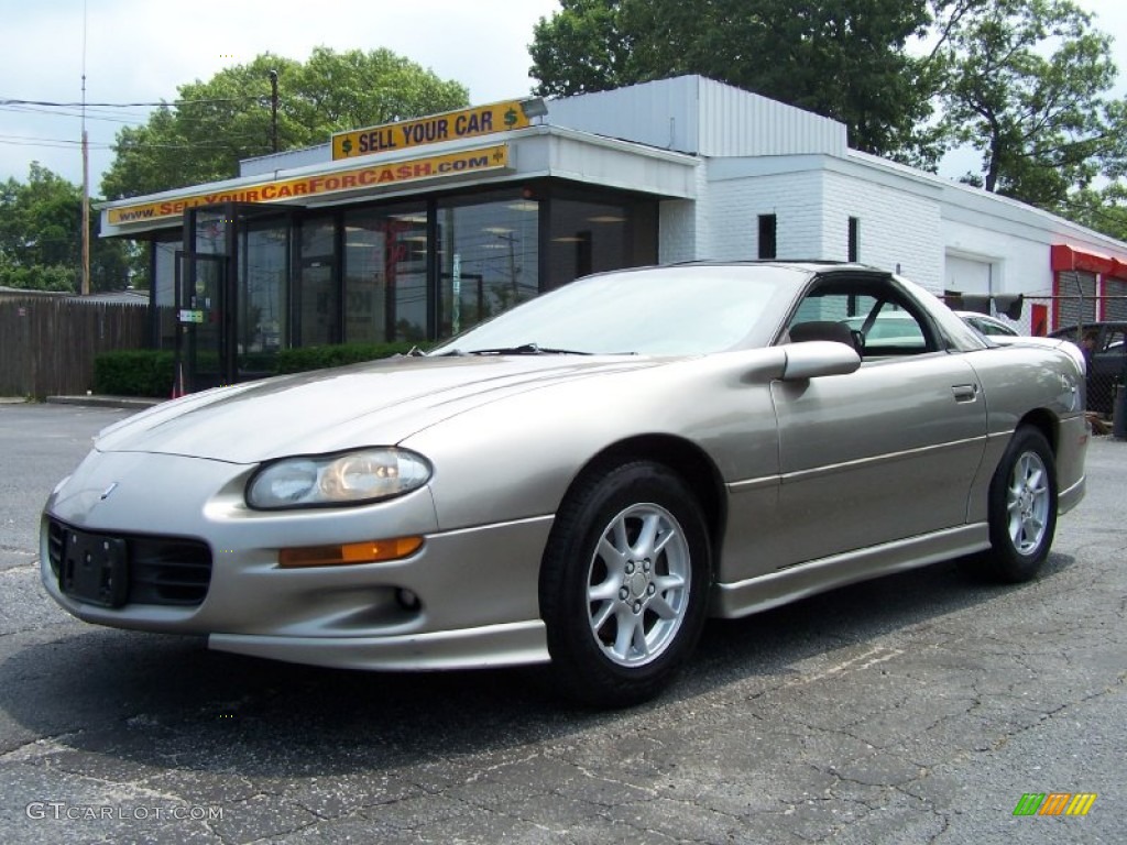 2001 Camaro Coupe - Light Pewter Metallic / Neutral photo #1