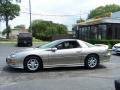Light Pewter Metallic - Camaro Coupe Photo No. 3