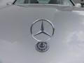 Brilliant Silver Metallic - E 500 Sedan Photo No. 39