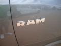 2010 Mineral Gray Metallic Dodge Ram 1500 SLT Quad Cab 4x4  photo #30