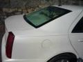 2006 White Diamond Cadillac STS V6  photo #10