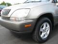 2002 Burnished Gold Metallic Lexus RX 300  photo #4