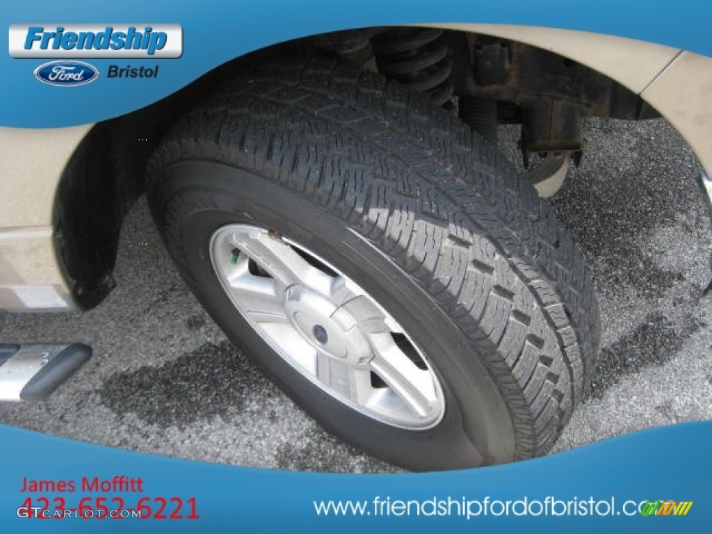 2004 F150 XLT SuperCab 4x4 - Arizona Beige Metallic / Medium/Dark Flint photo #10