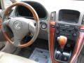 Burnished Gold Metallic - RX 300 Photo No. 15