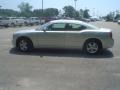 Bright Silver Metallic - Charger SXT Photo No. 9