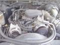 1998 Sandalwood Metallic Chevrolet Blazer LS 4x4  photo #30