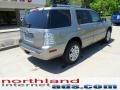 Vapor Silver Metallic - Mountaineer Premier AWD Photo No. 7