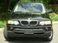 Jet Black - X5 3.0i Photo No. 31