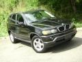 Jet Black - X5 3.0i Photo No. 33