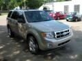 2011 Gold Leaf Metallic Ford Escape XLT V6 4WD  photo #3