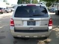 2011 Gold Leaf Metallic Ford Escape XLT V6 4WD  photo #4