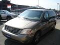 2004 Arizona Beige Metallic Ford Freestar SE  photo #4