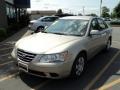 Camel Pearl - Sonata GLS Photo No. 1