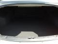 Camel Pearl - Sonata GLS Photo No. 10