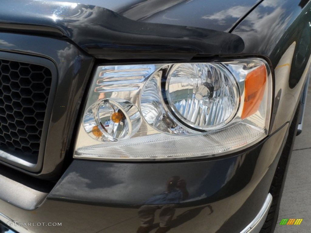 2006 F150 XLT SuperCrew - Dark Stone Metallic / Medium/Dark Flint photo #10